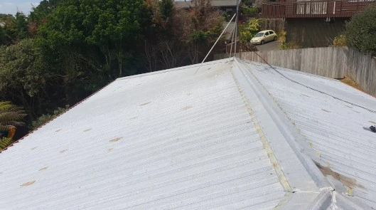 corrugated iron roof painting