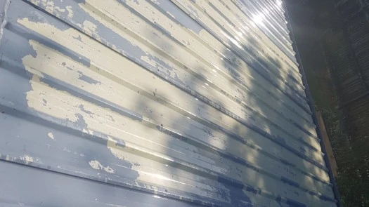 roof paint peeling