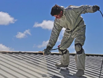 Roof Painting and Resurfacing