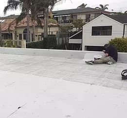 roof painting auckland