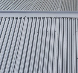 Metal and corrugated iron roof painting