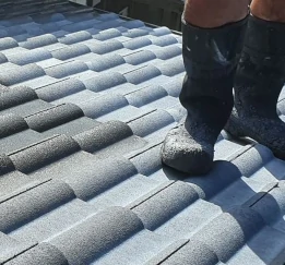 concrete tile roof painting