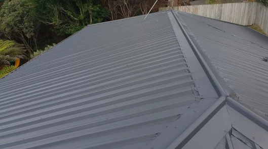 Roof Painted with our own products