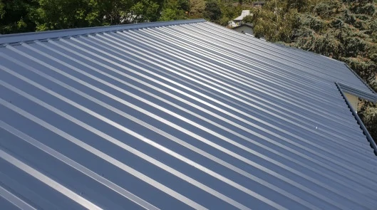 Roof Painted Grey