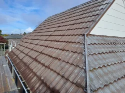 Chipped decreamastic roof before painting